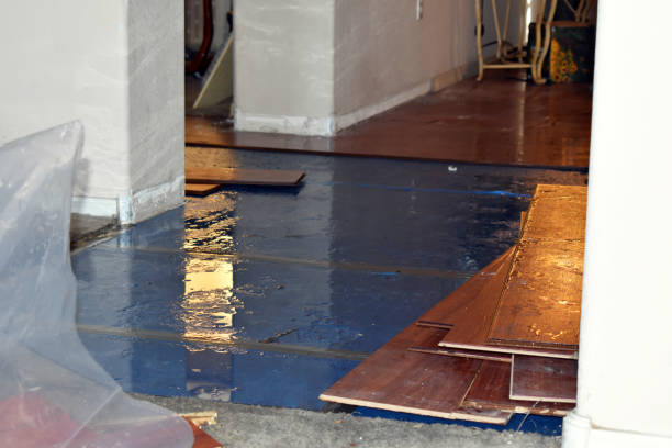 Professional Water Damage technician working in Copeland, FL